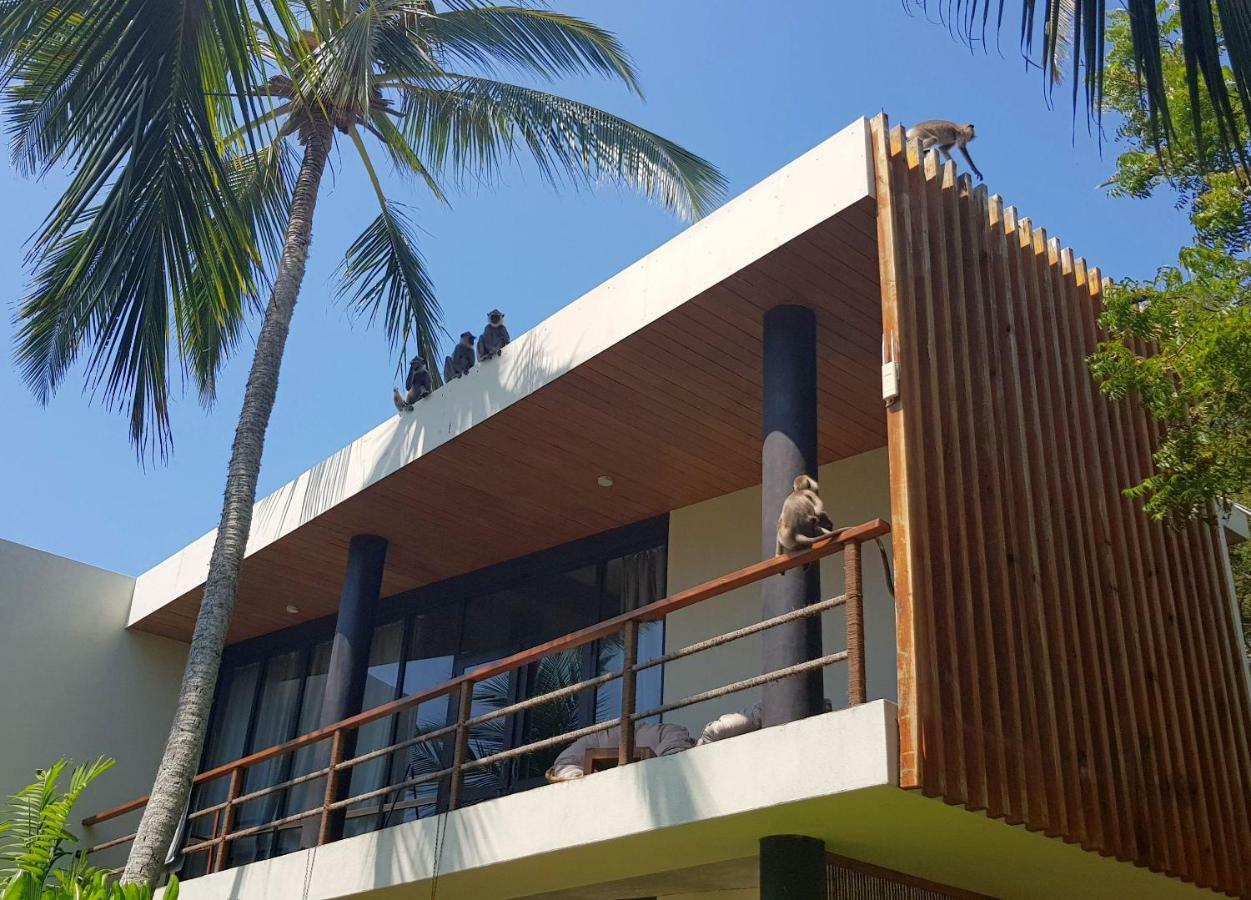Lankavatara Ocean Retreat &