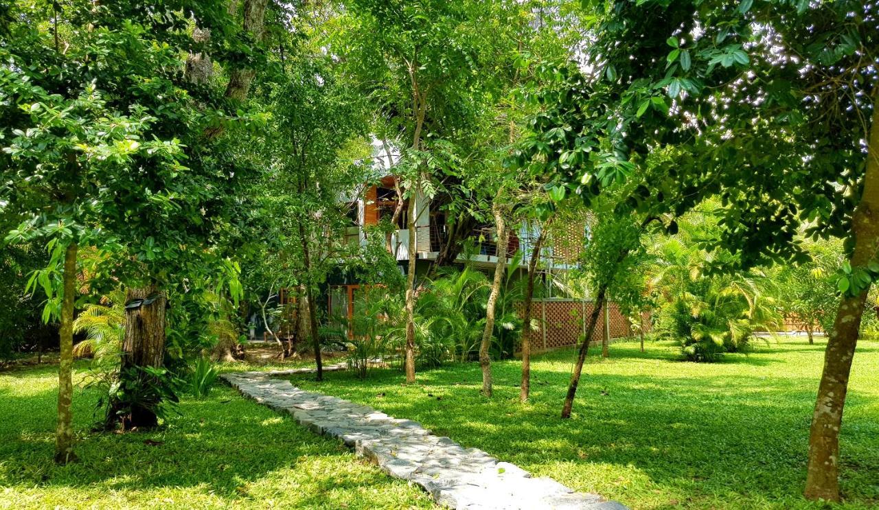 Hotel Lankavatara Ocean Retreat & 4*